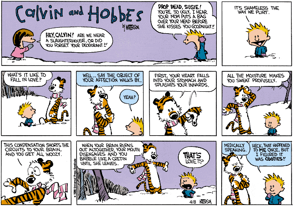 calvin-on-love